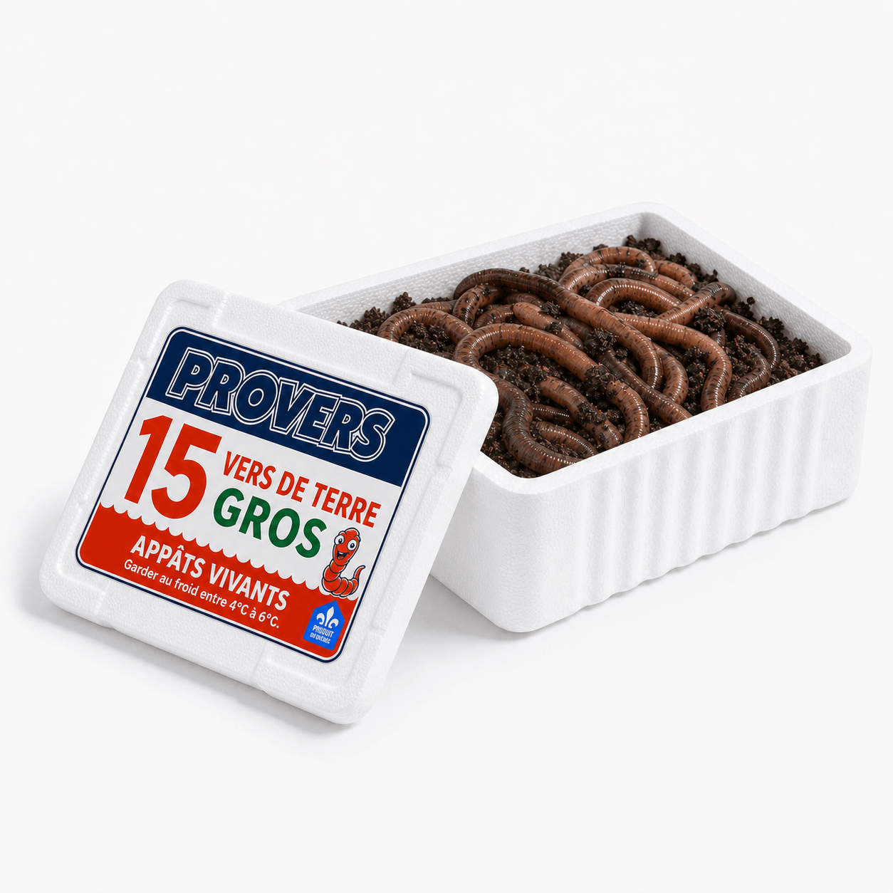 Provers 15 vers de terre gros