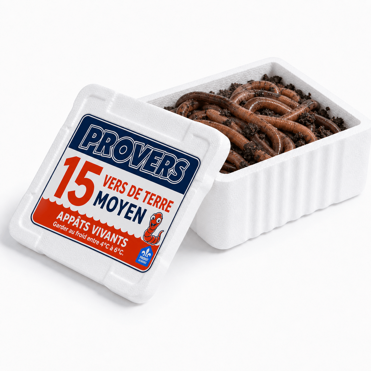 Provers 15 vers de terre moyen