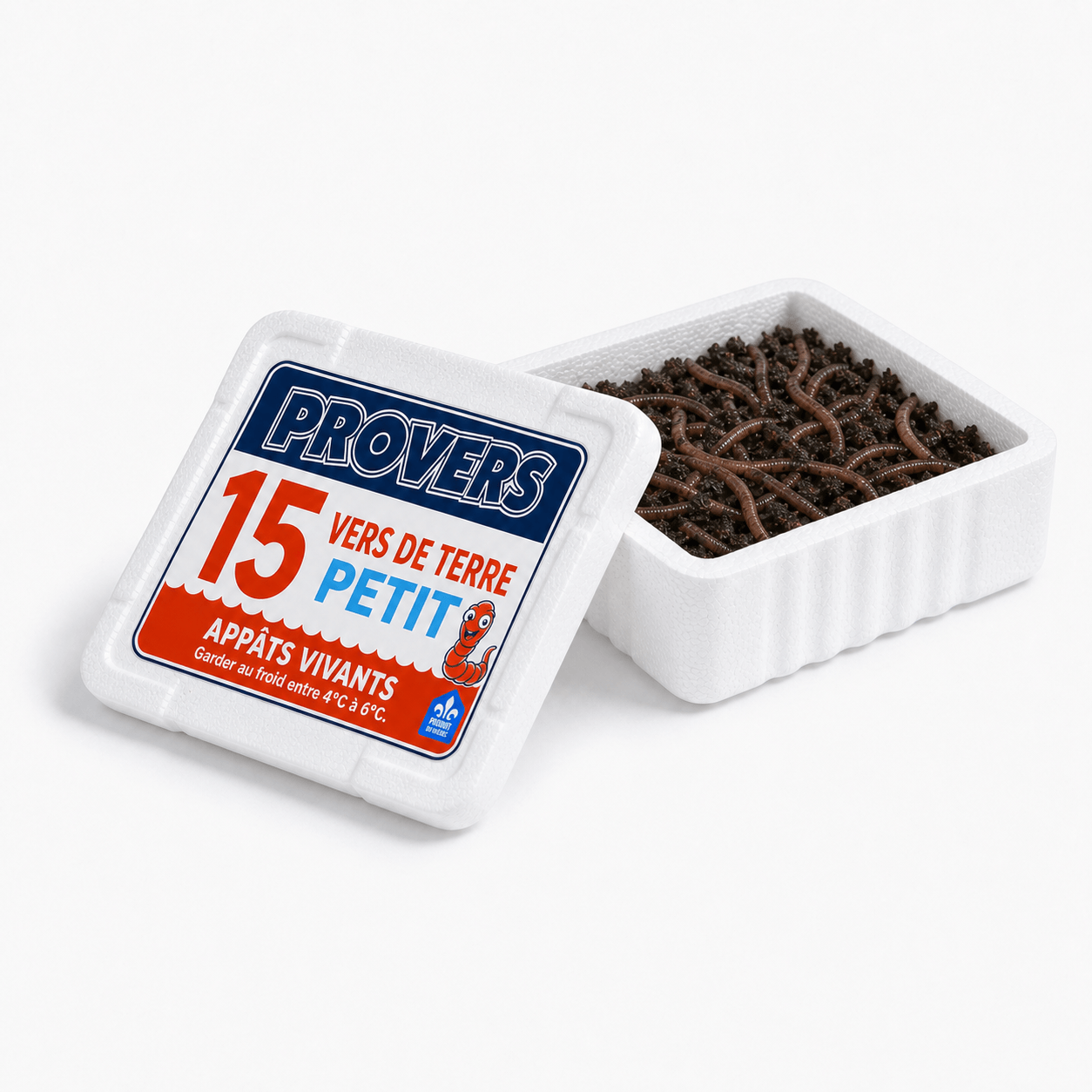Provers 15 vers de terre petit