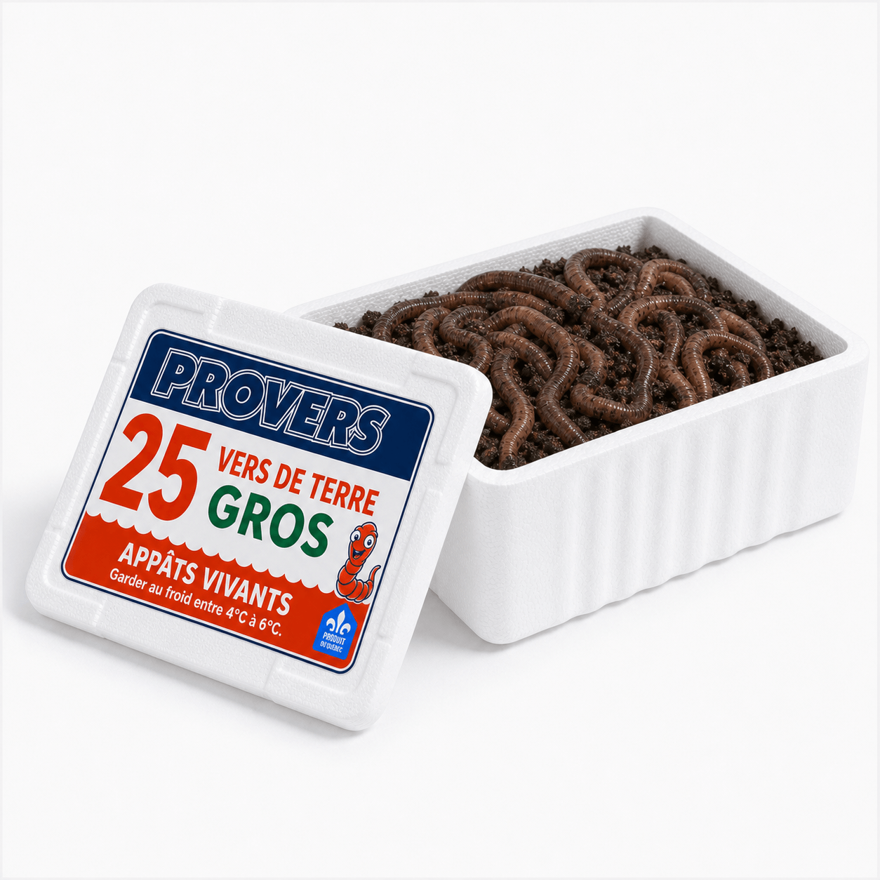 Provers 25 vers de terre gros