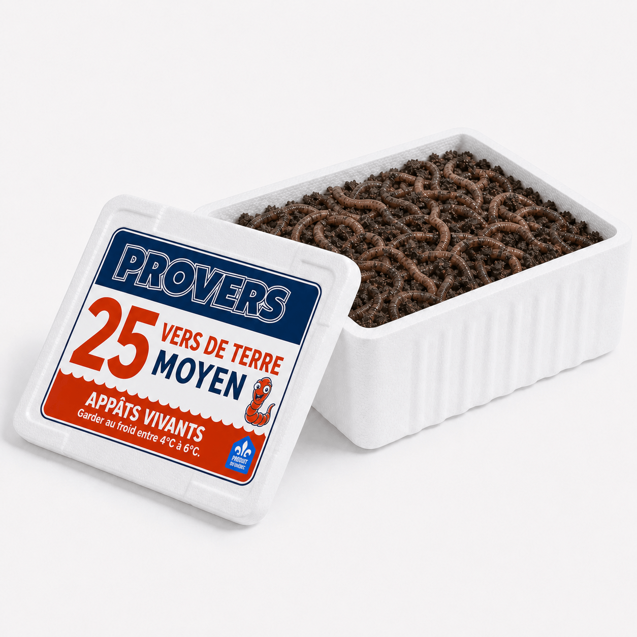 Provers 25 vers de terre moyen